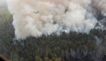 В ХМАО горит природный заповедник &laquo;Малая Сосьва&raquo;